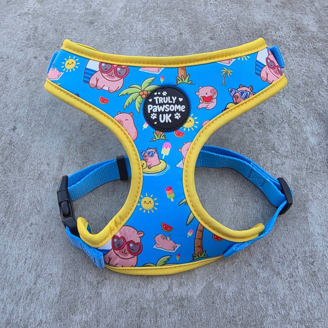 Meet the Capy Lagoon — Laid-Back Luxury for Your Dog