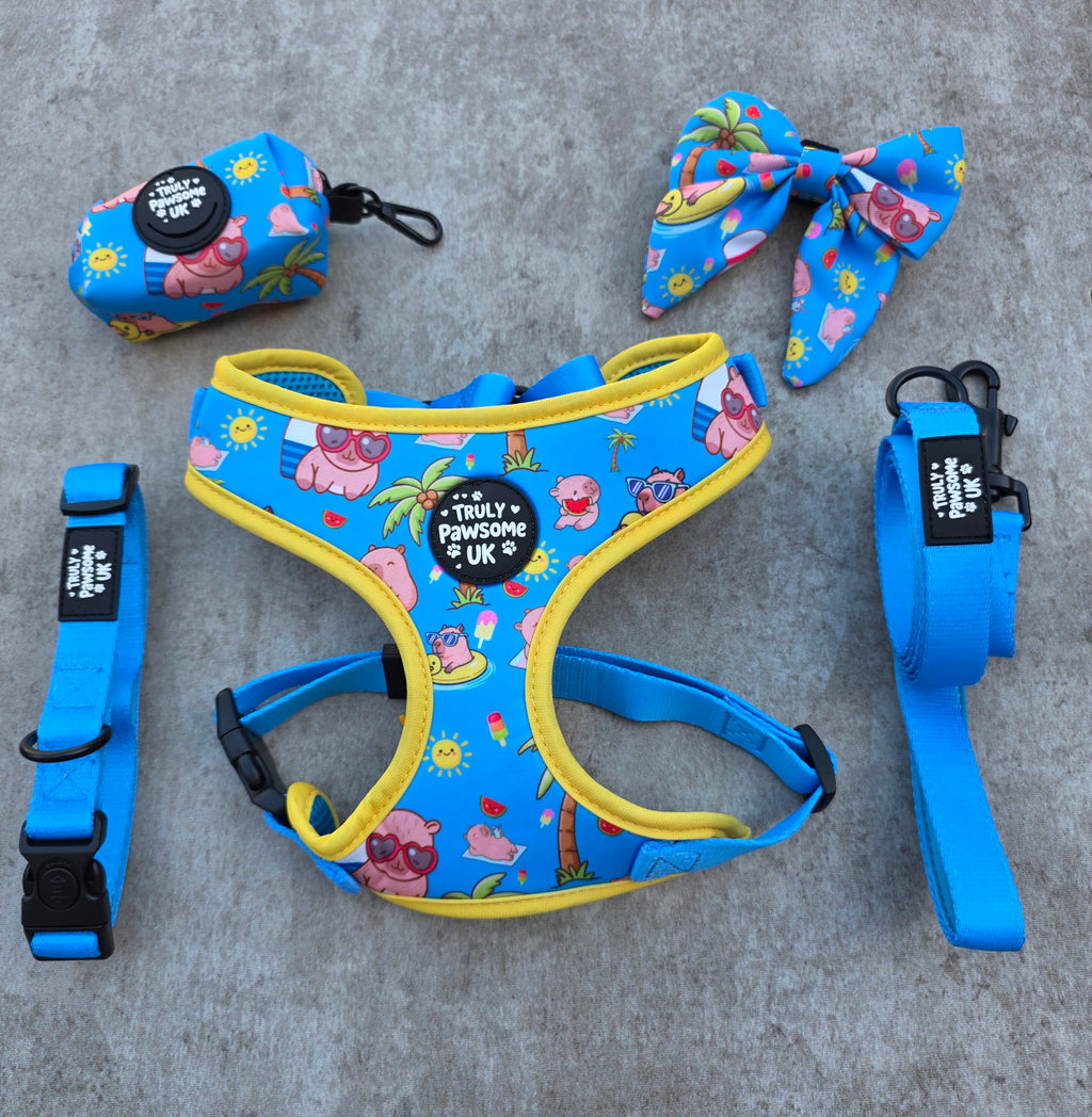 Capy Lagoon Complete Set — 5 Piece Bundle