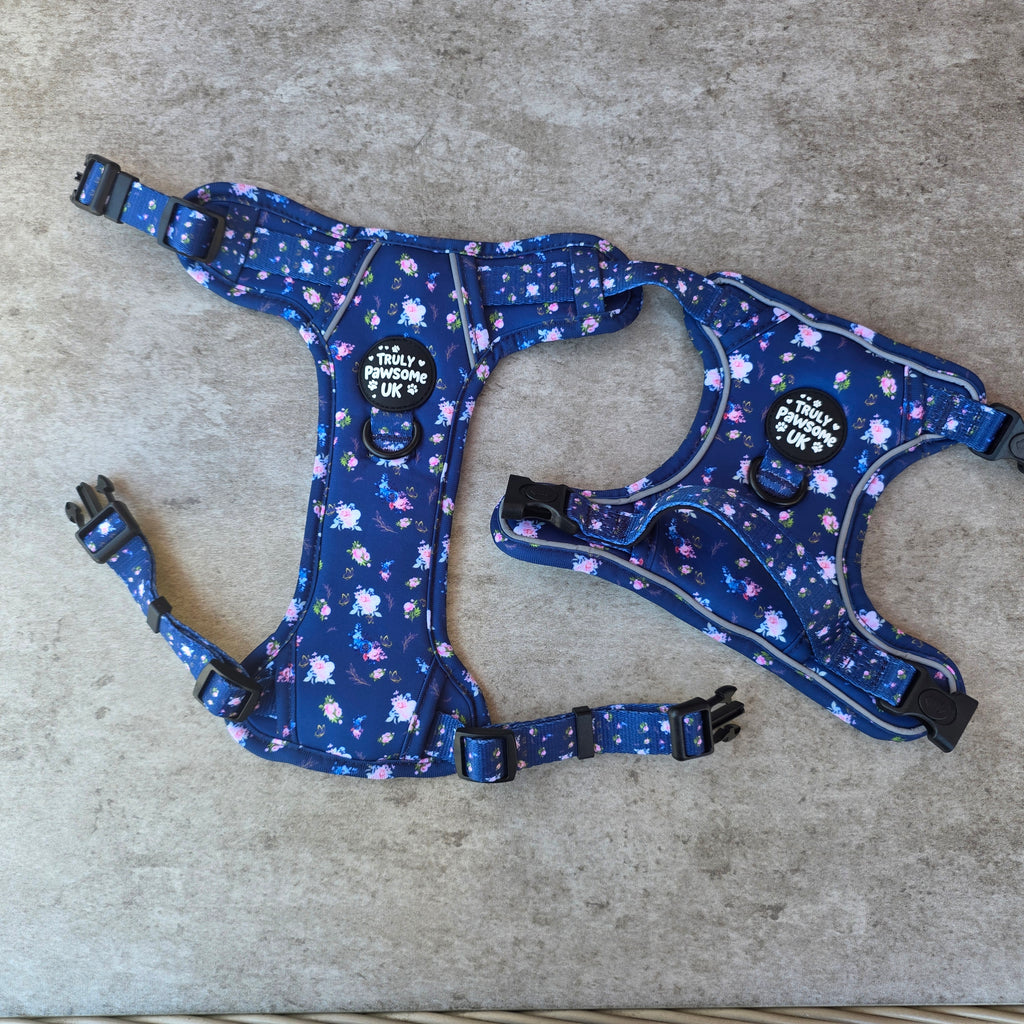Pawsome Posy 3 Point Harness