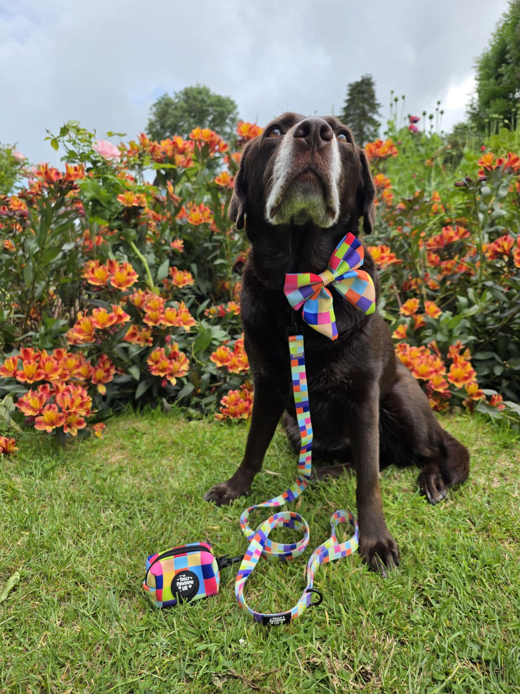 Pixel Pup Sailor Bow