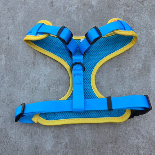 Capy Lagoon Harness