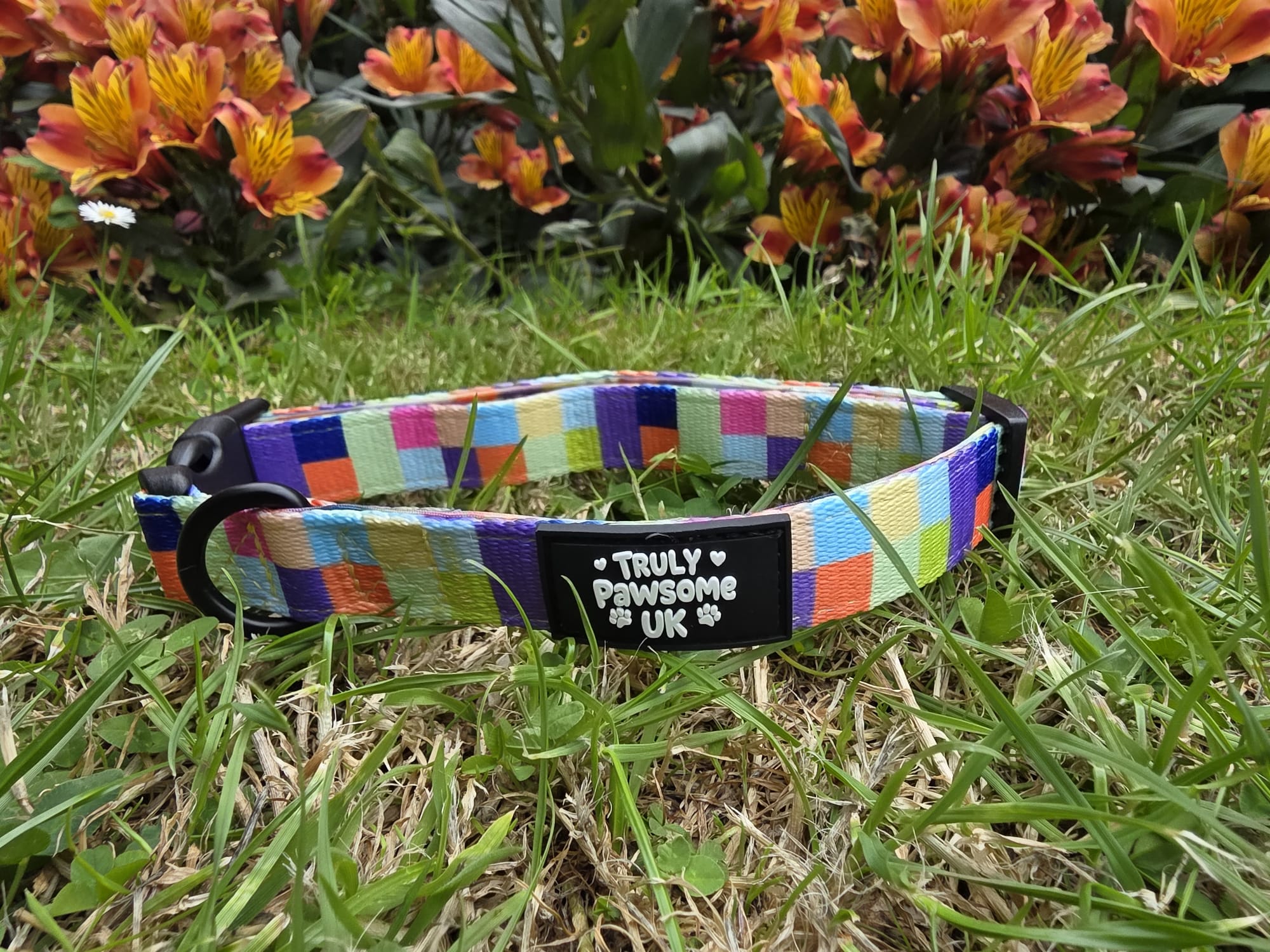 Pixel Pup Collar