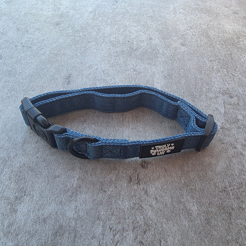 Dashing Denim Collar
