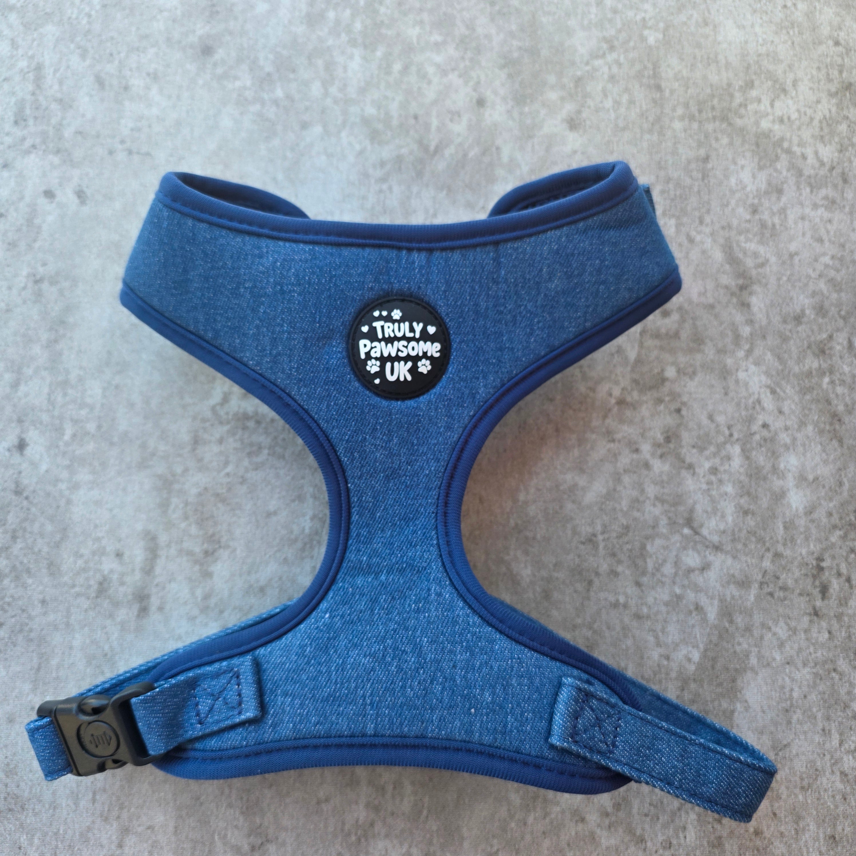 Dashing Denim Harness