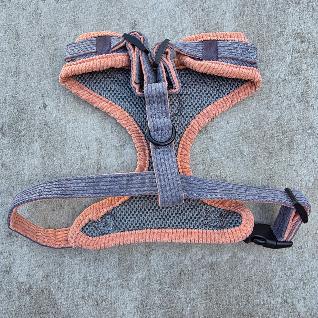 Dune Ember Harness