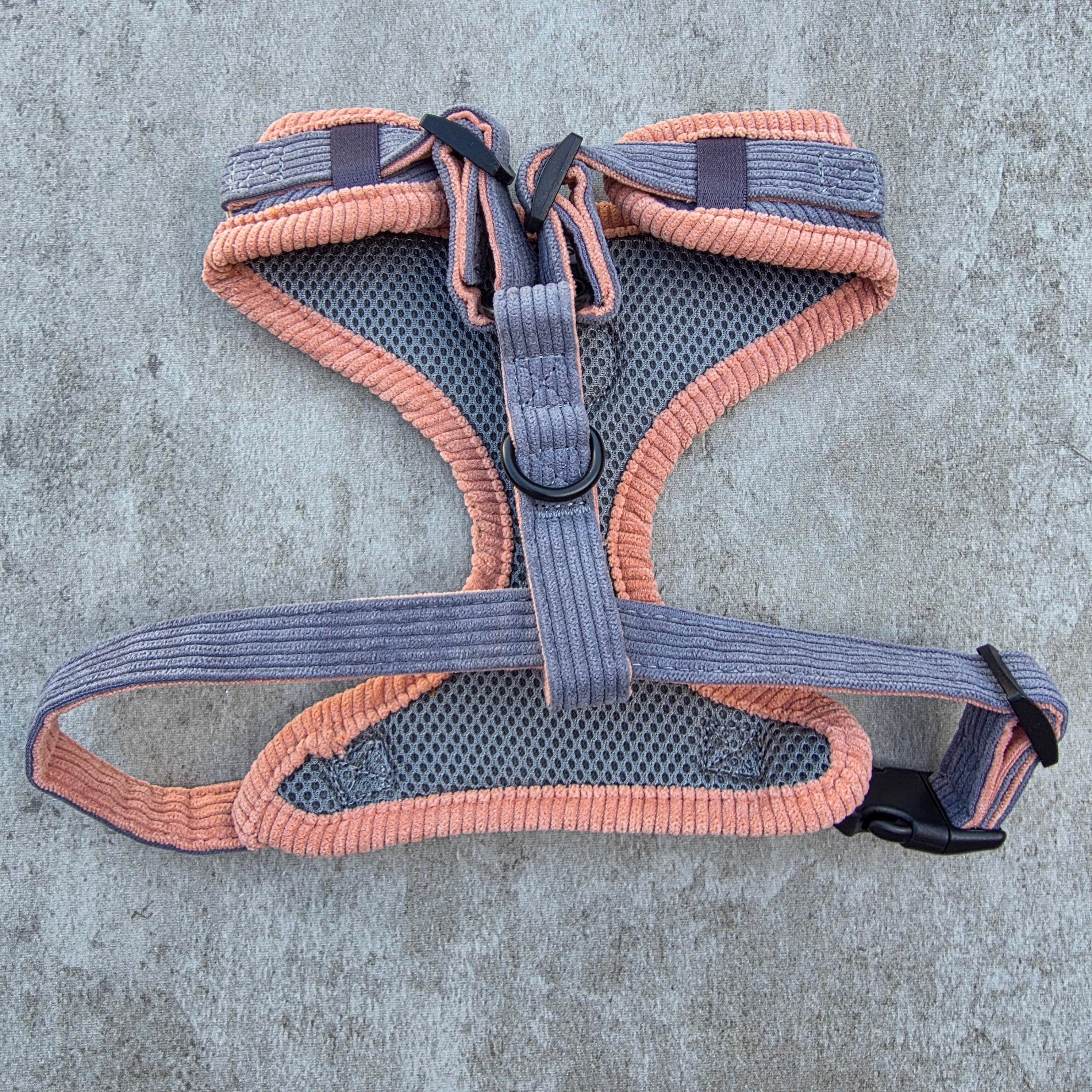 Dune Ember Harness