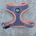 Dune Ember Harness