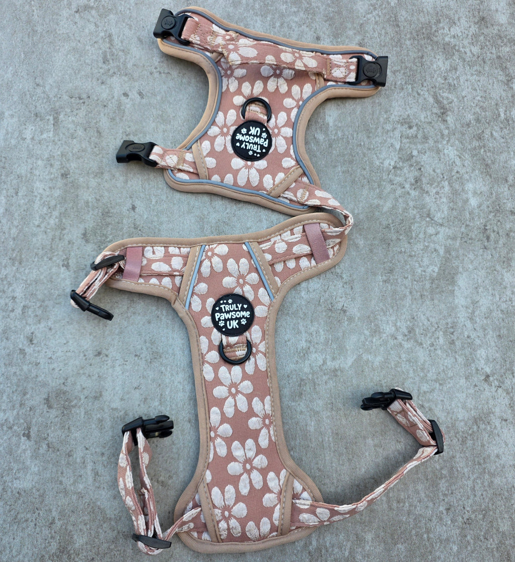 The Golden Bloom 3 Point Harness
