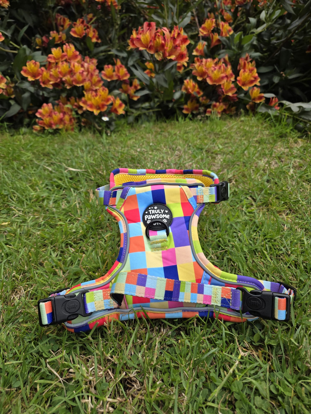 Pixel Pup 3 Point Harness