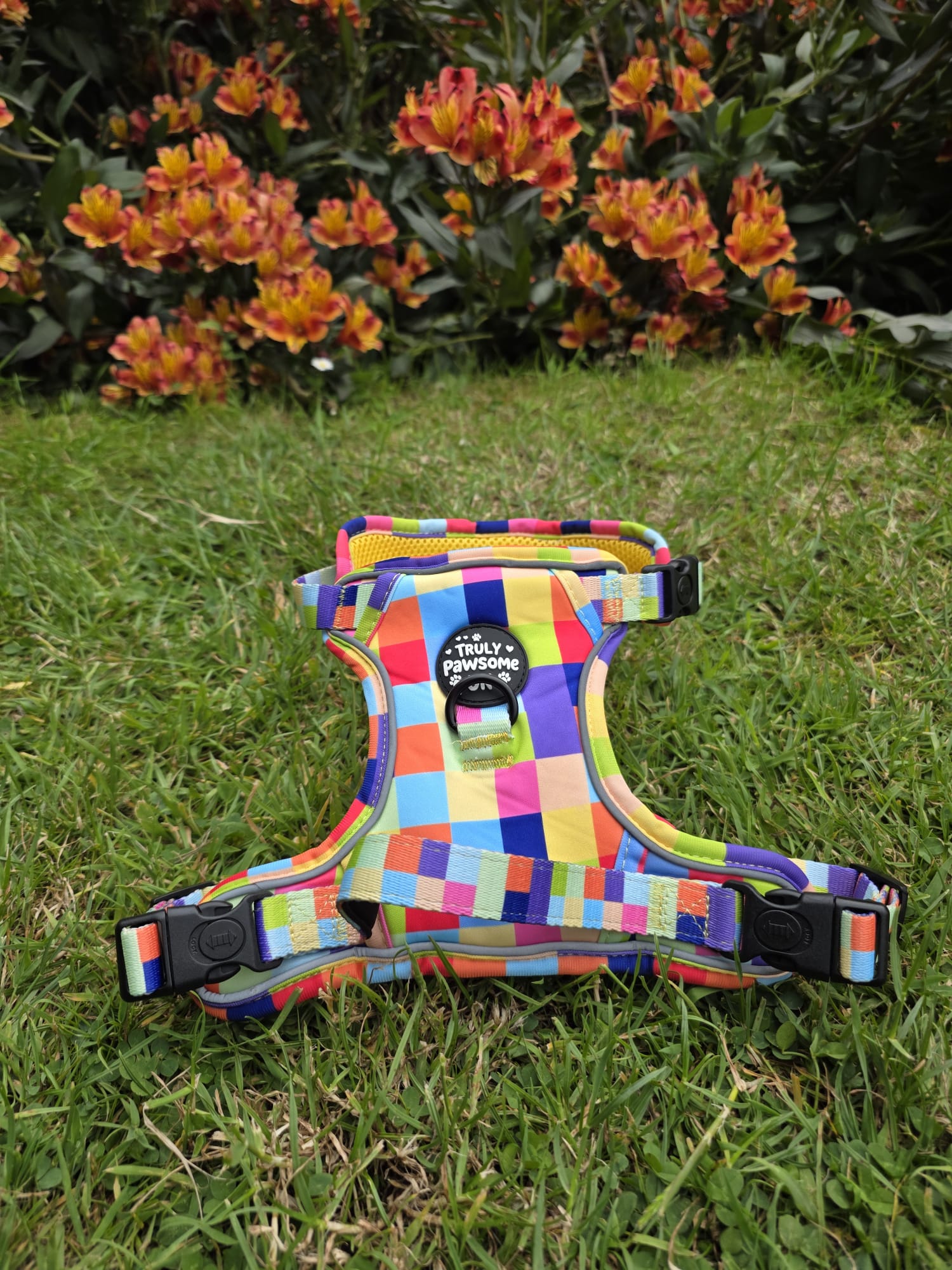 Pixel Pup 3 Point Harness