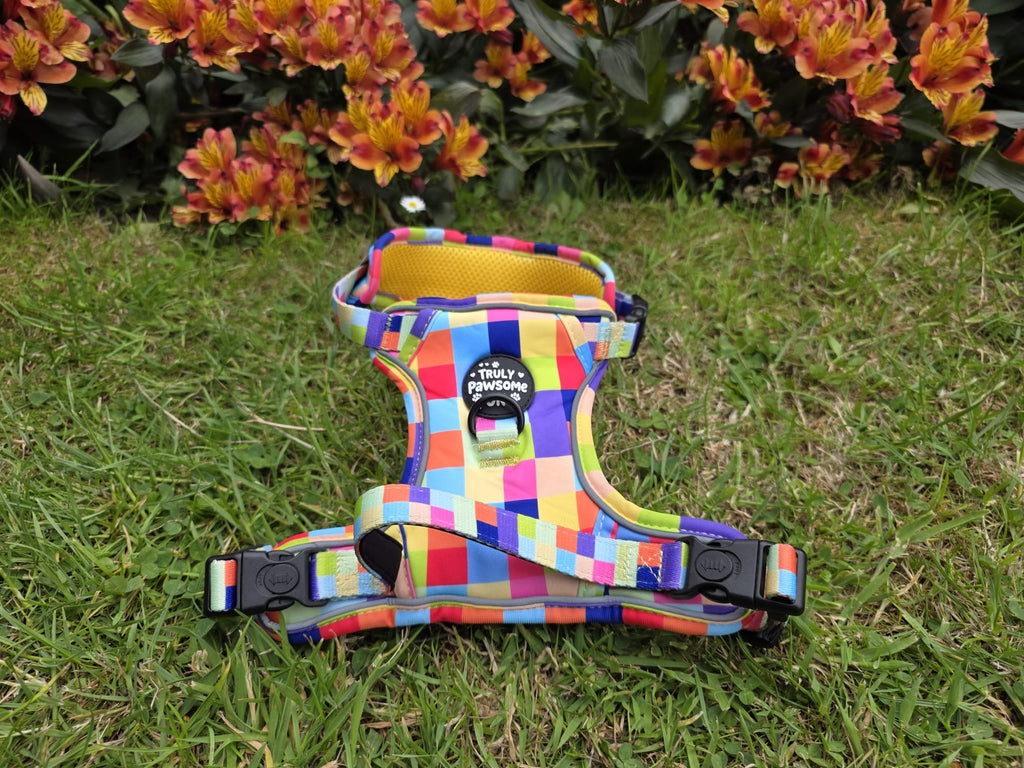 Pixel Pup 3 Point Harness