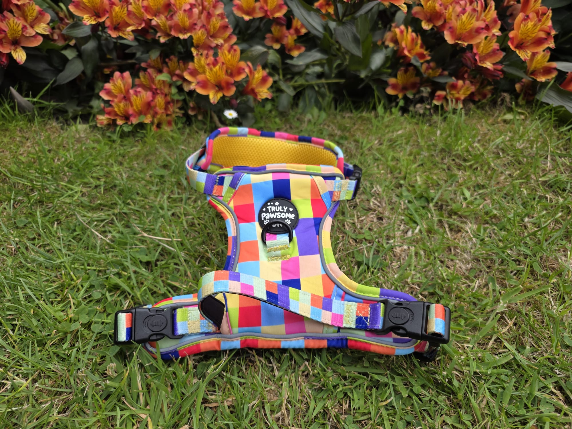 Pixel Pup 3 Point Harness