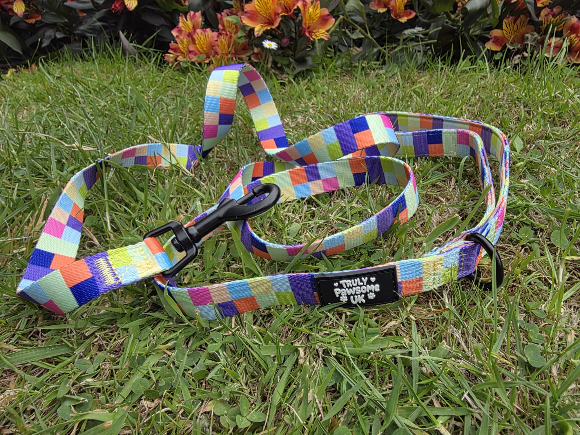 Pixel Pup Lead