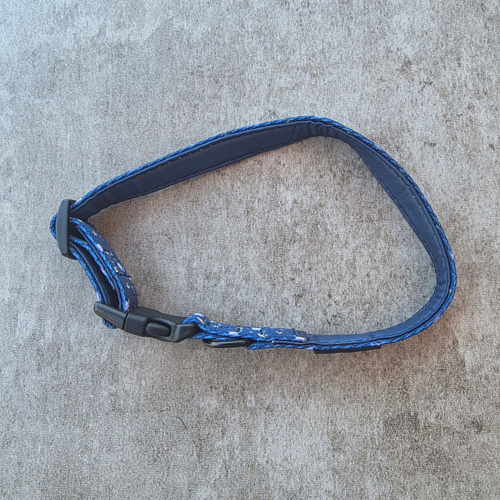 Pawsome Posy Collar