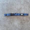 Pawsome Posy Collar