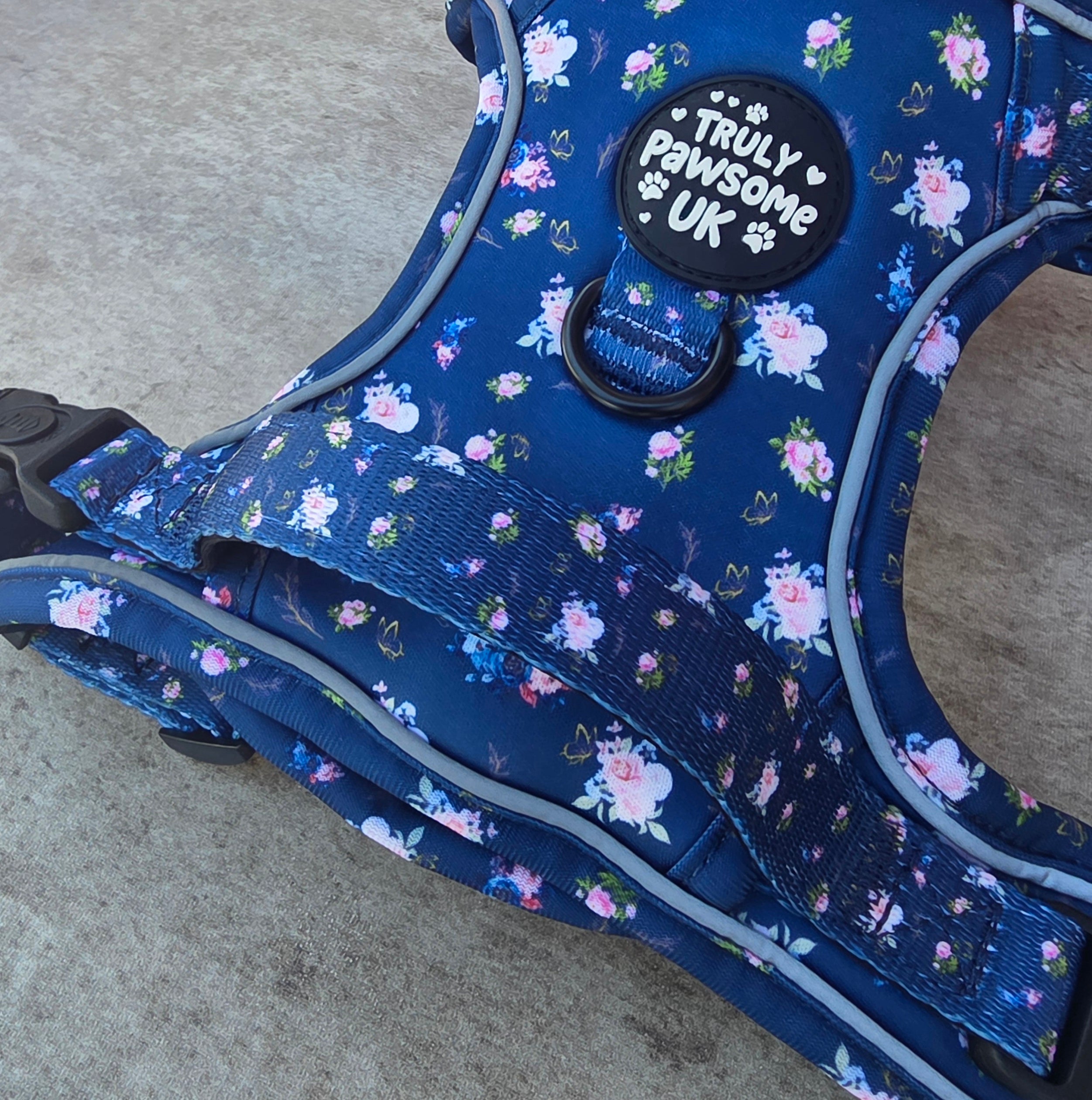Pawsome Posy 3 Point Harness