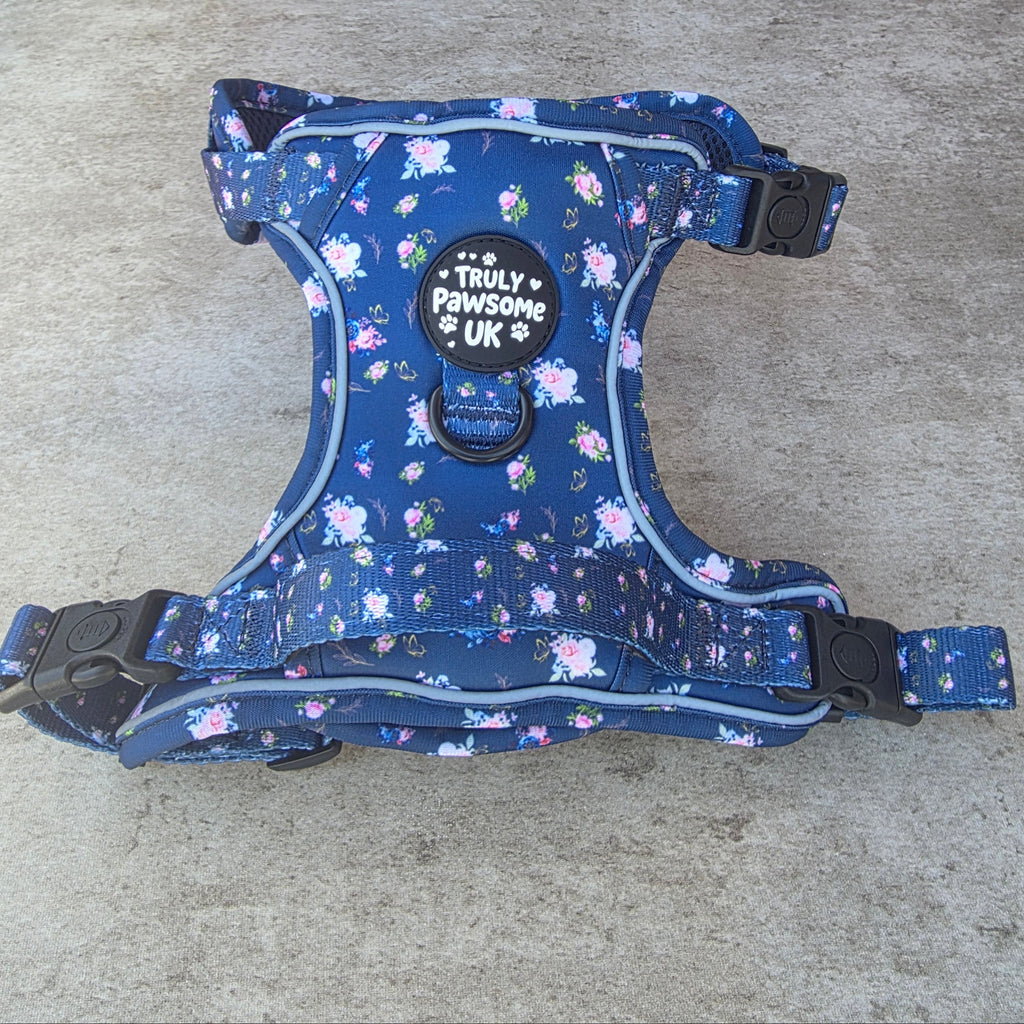Pawsome Posy 3 Point Harness