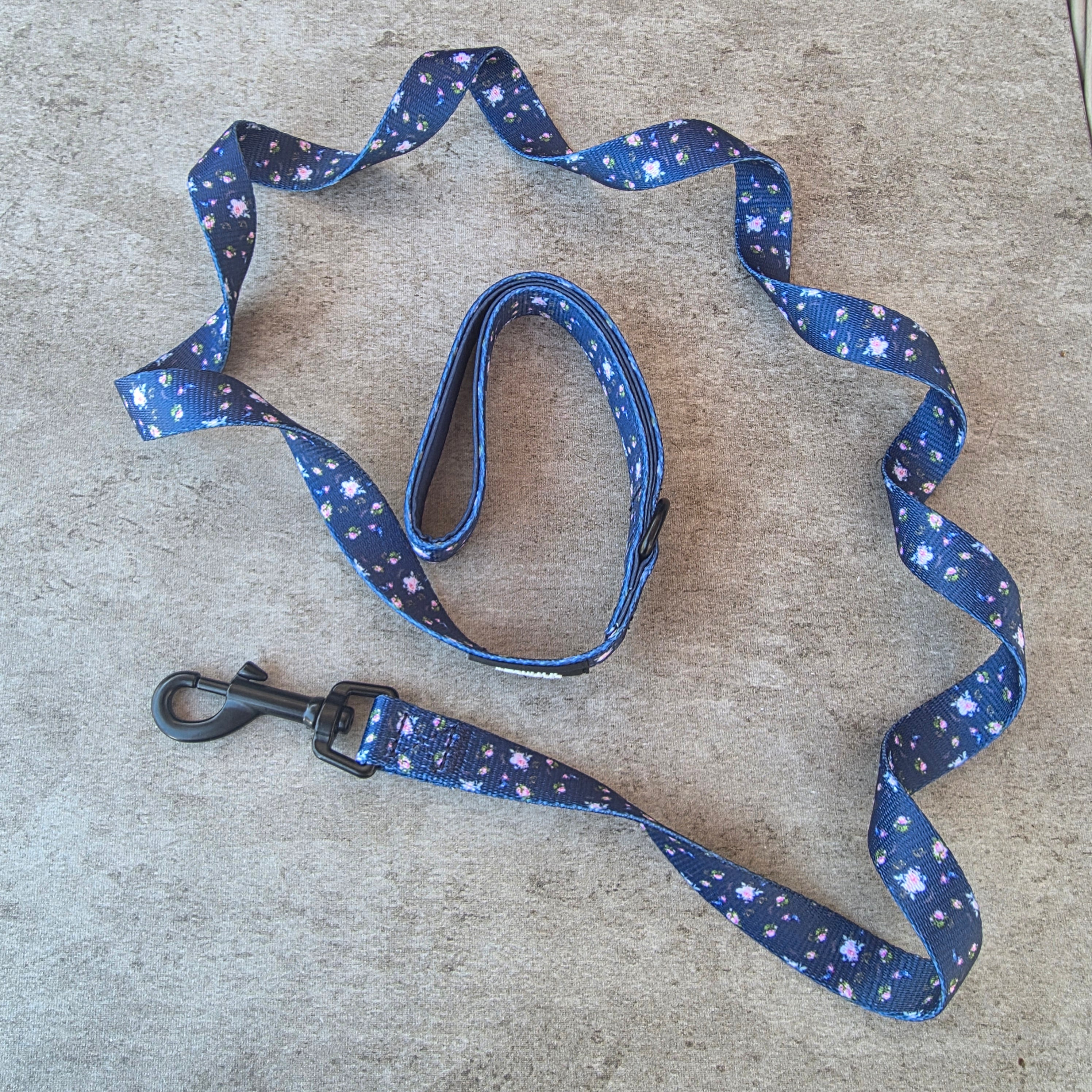Pawsome Posy Lead
