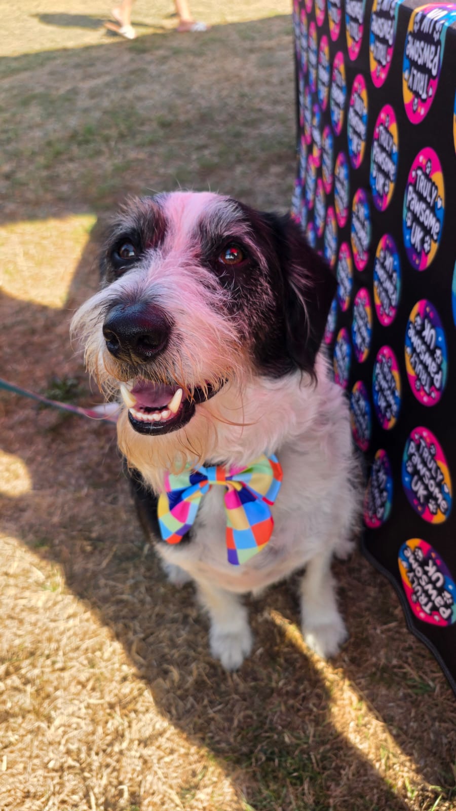 Pixel Pup Sailor Bow