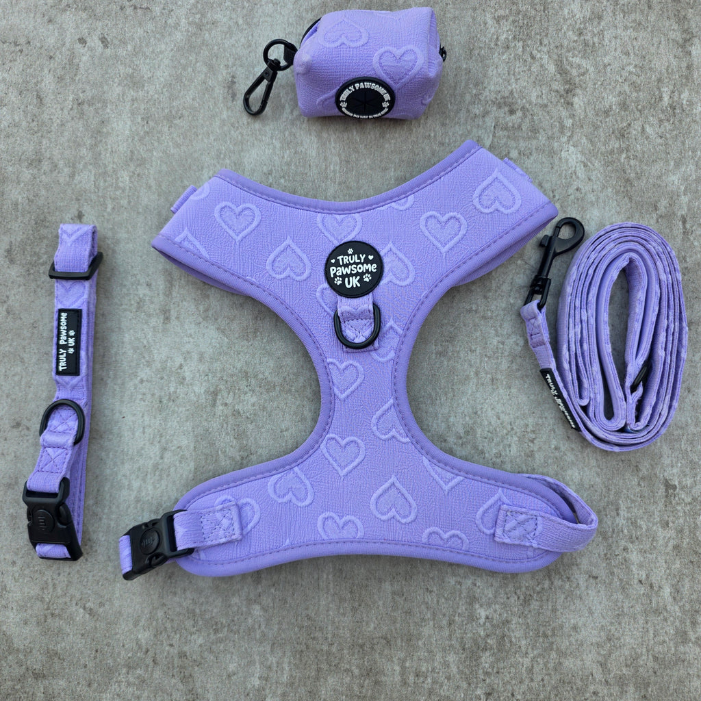 Violet Vale Complete Set