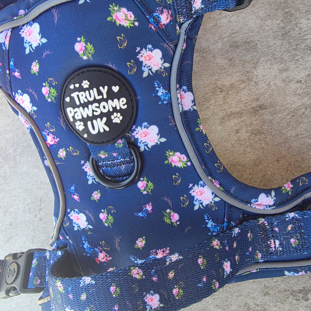 Pawsome Posy 3 Point Harness