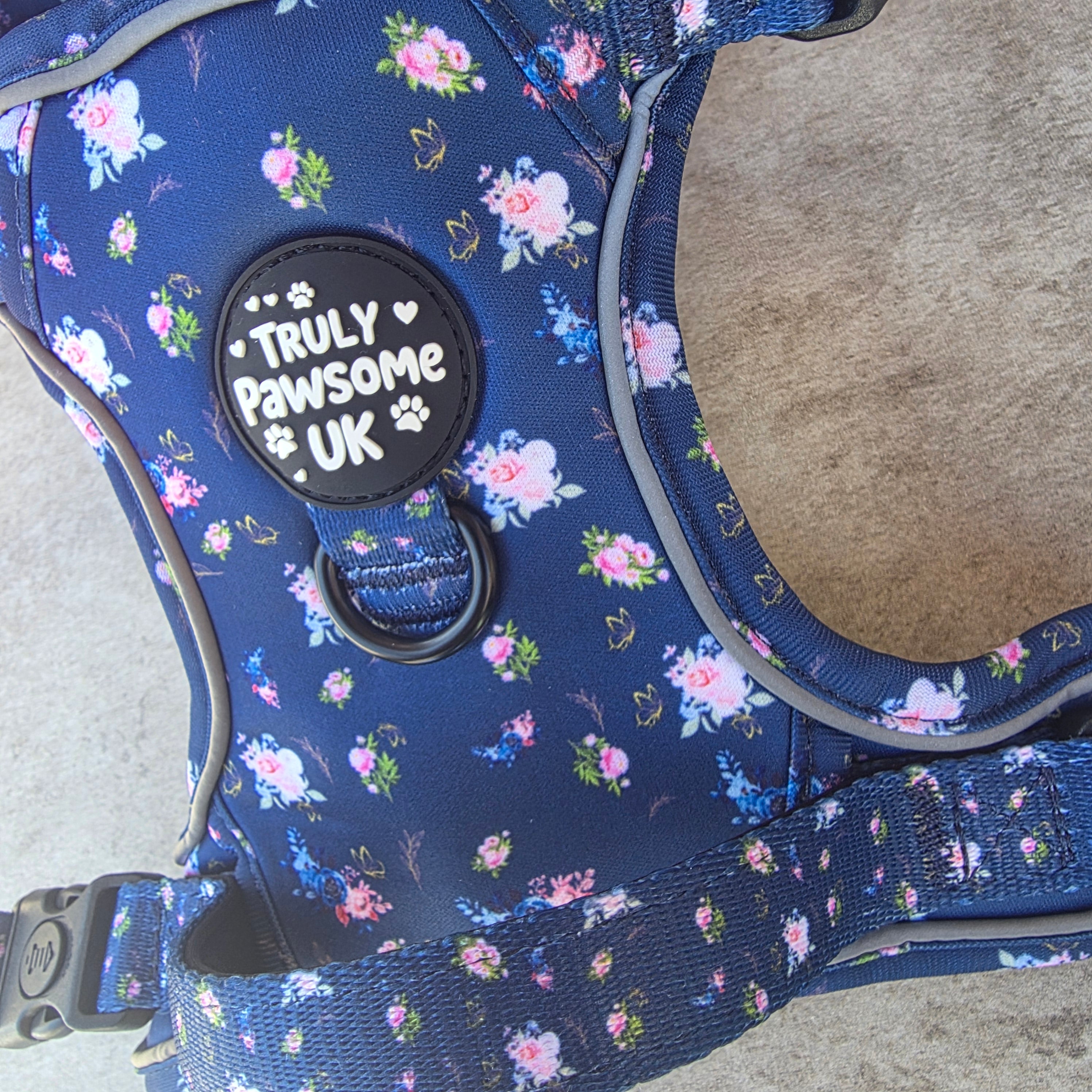 Pawsome Posy 3 Point Harness