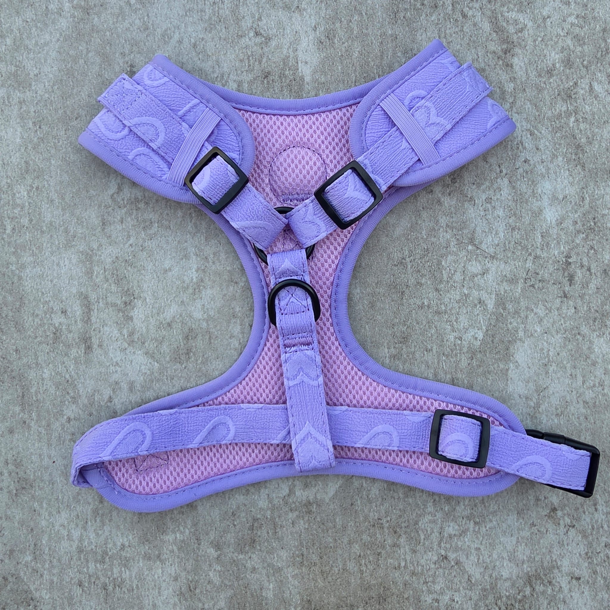 Violet Vale Harness