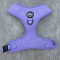 Violet Vale Harness
