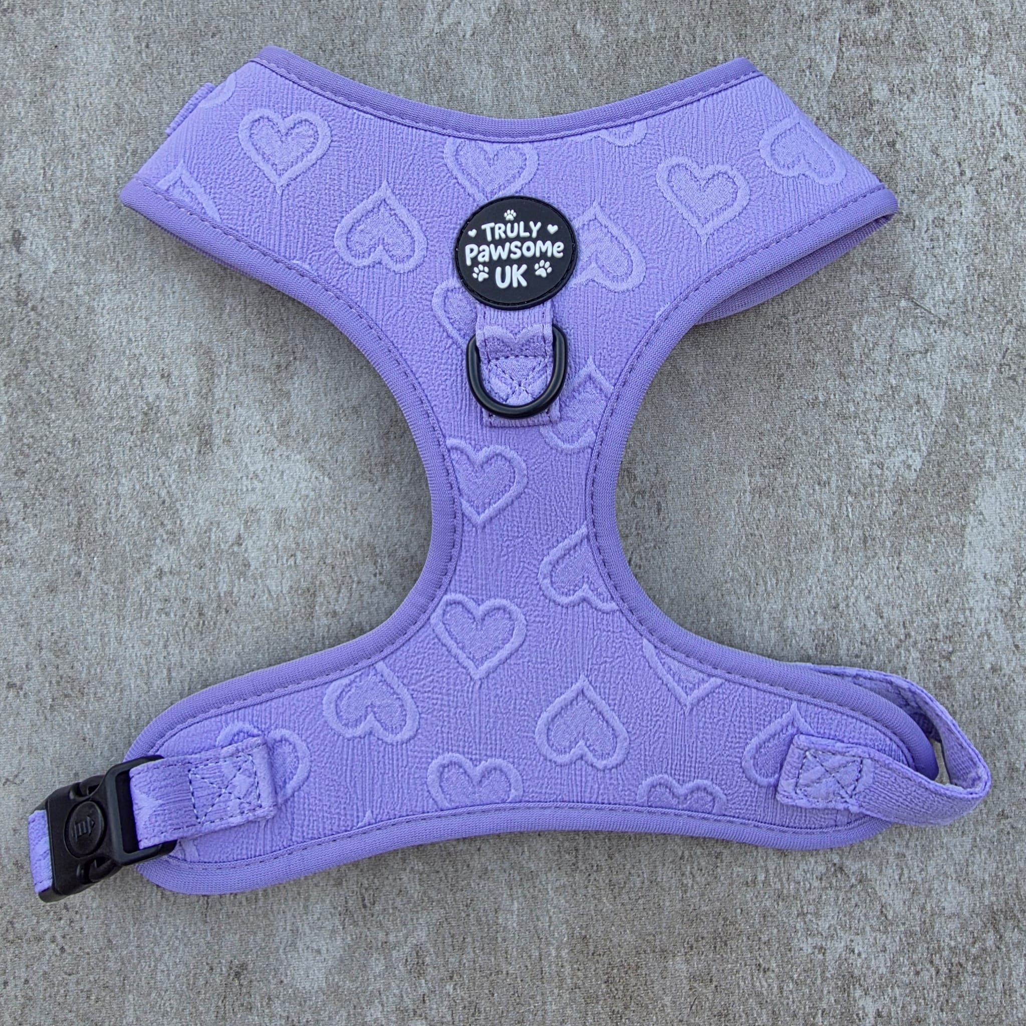 Violet Vale Harness