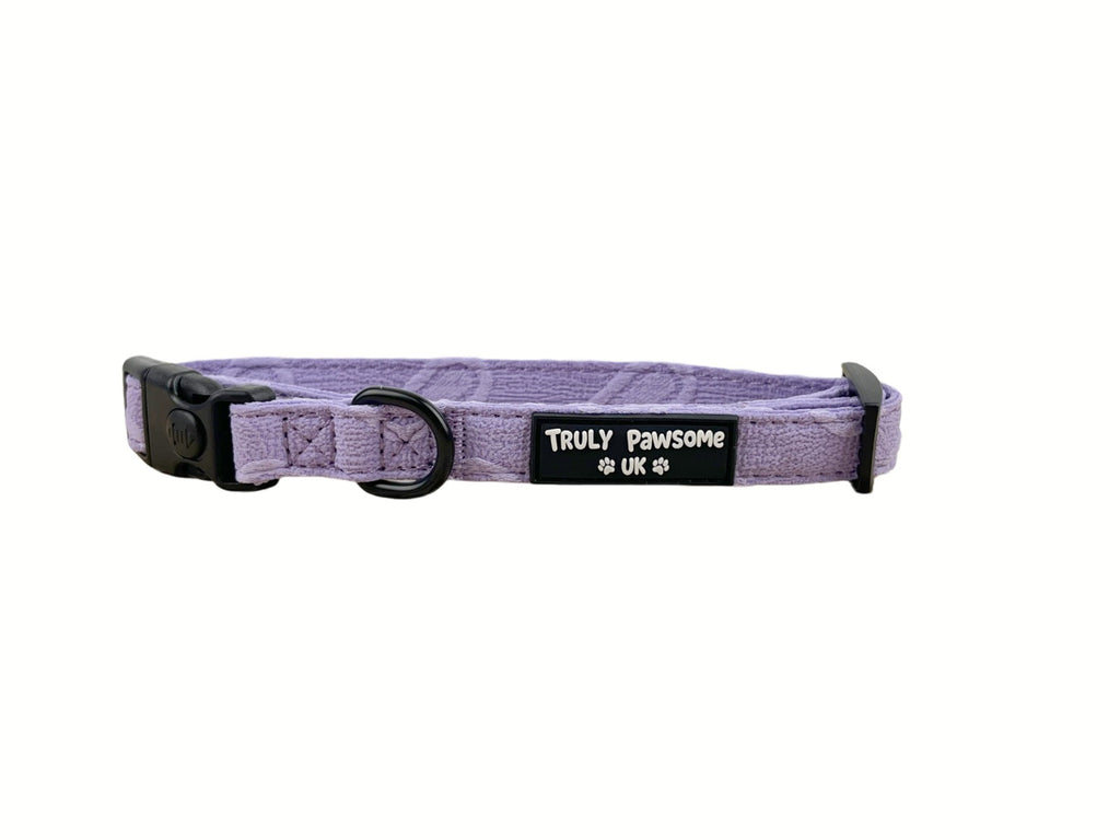 Violet Vale Dog Collar