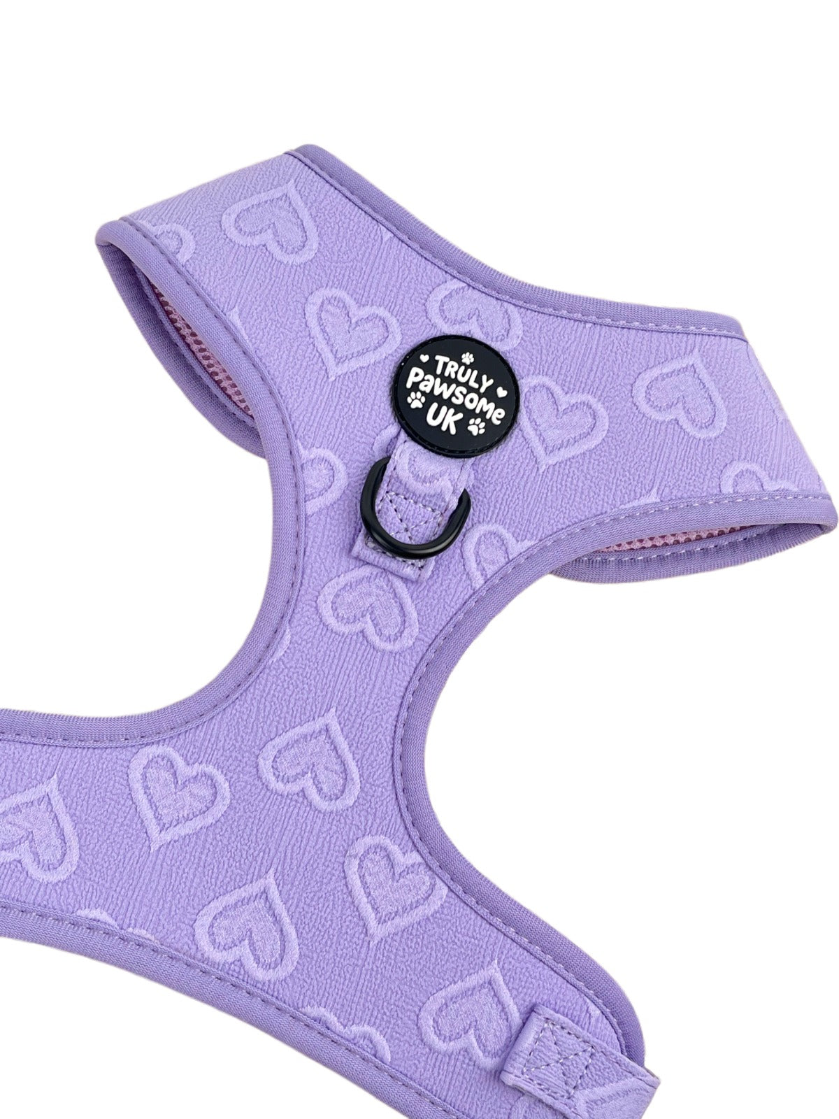 Violet Vale Harness