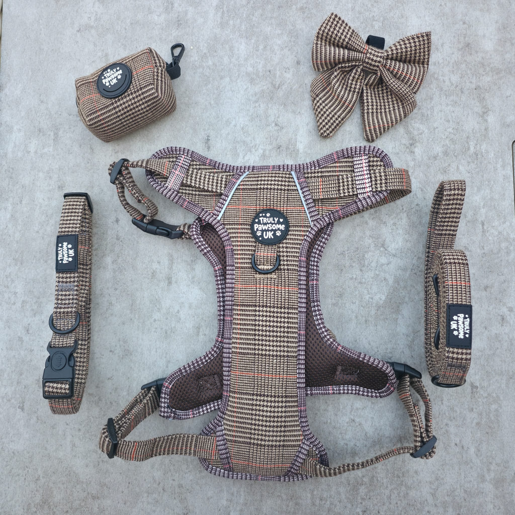 The Woodland Plaid Complete Set